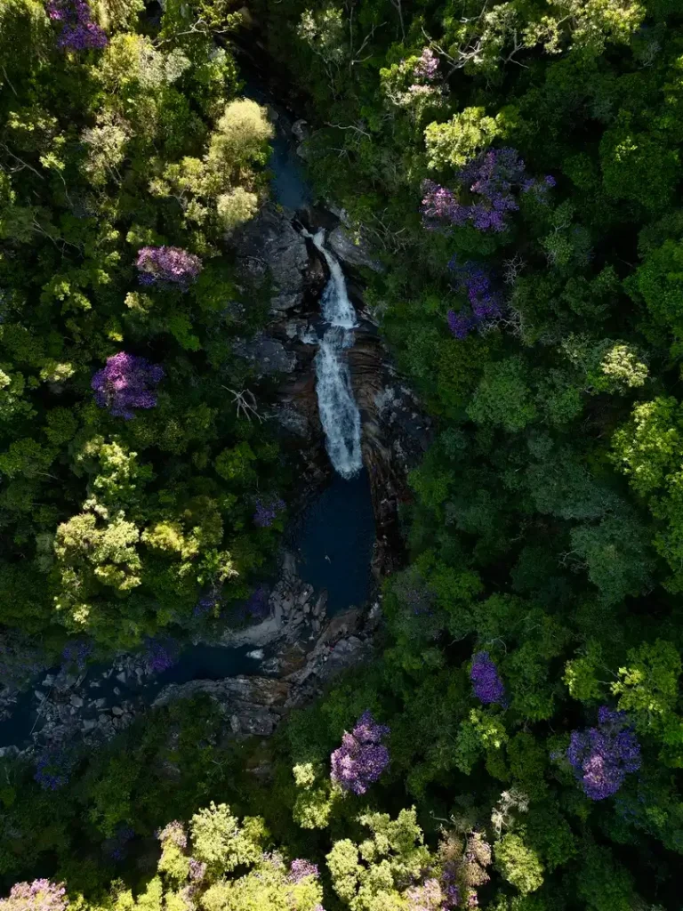 Copia-de-dji_fly_20240313_162416_2_1710695399954_photo