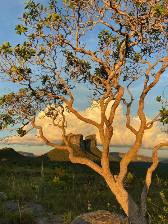 WhatsApp Image 2026-02-13 at 14.55.44