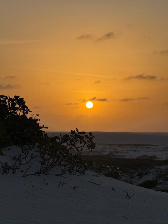 9b1dcb0d-9af6-4c7a-9159-af0a41f3e3e5